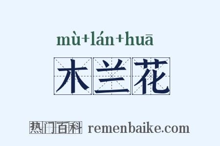 木兰花是什么意思的图片